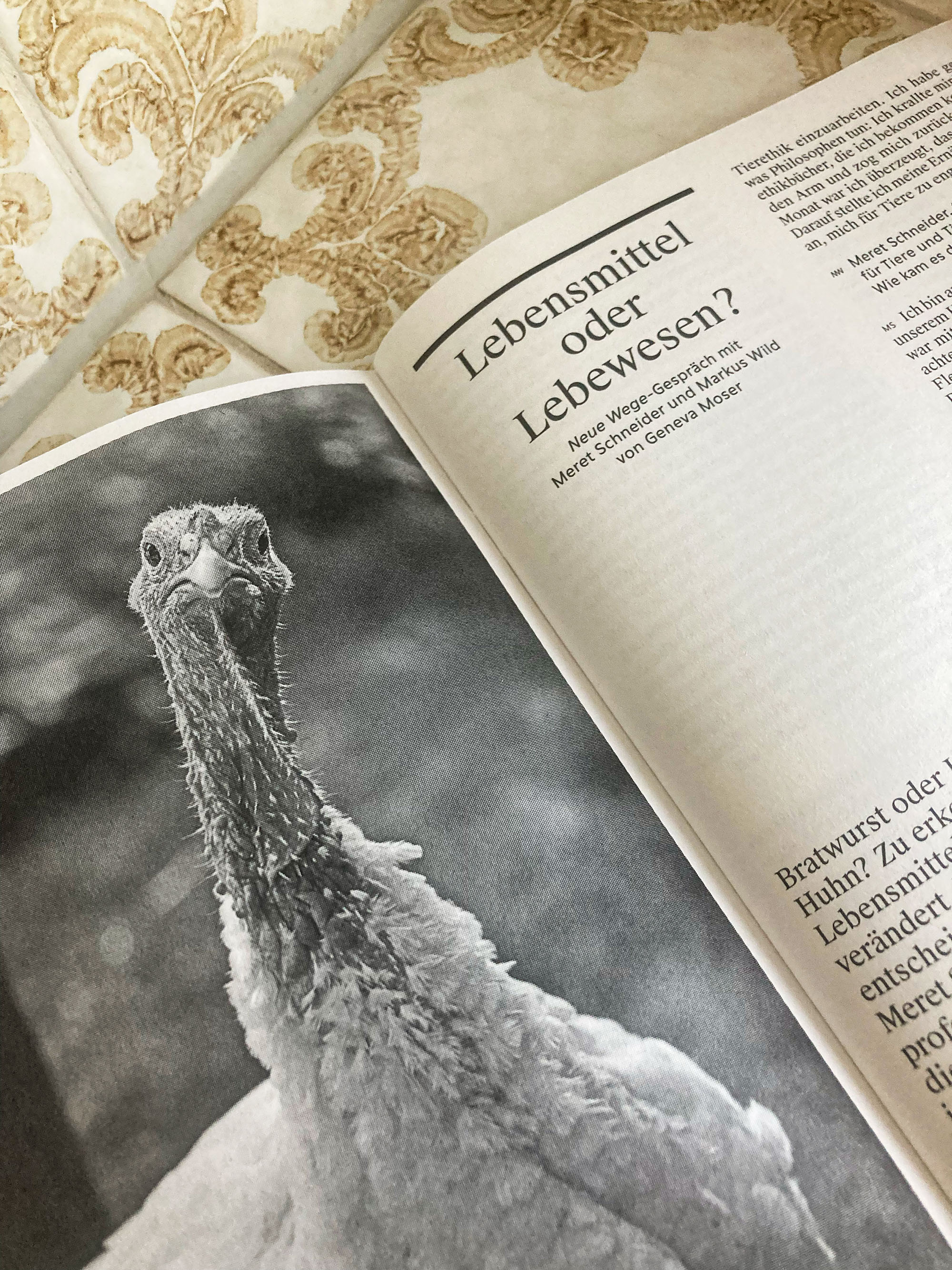 Religion, Sozialismus, Kritik