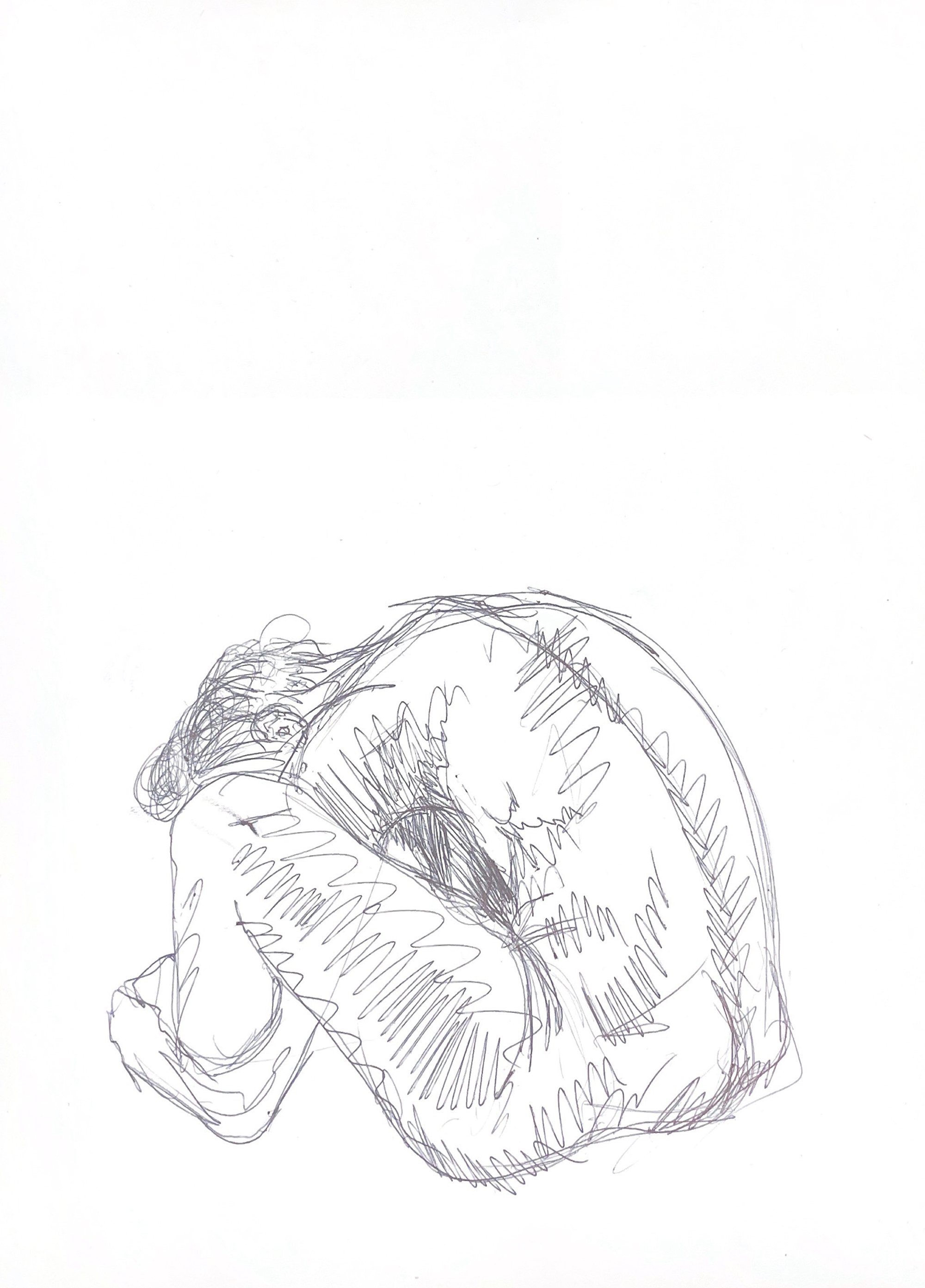 Anatomy studies