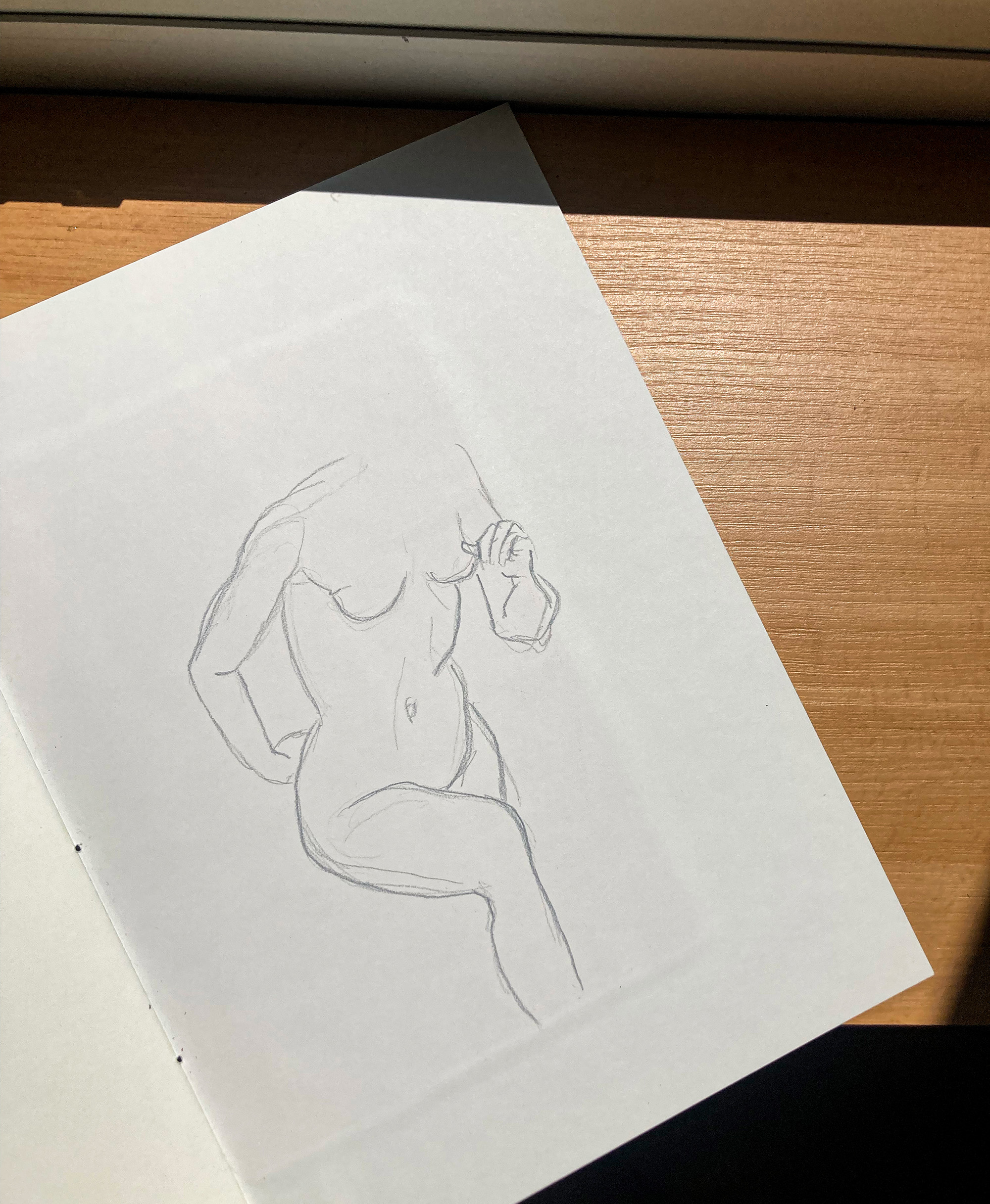Anatomy studies