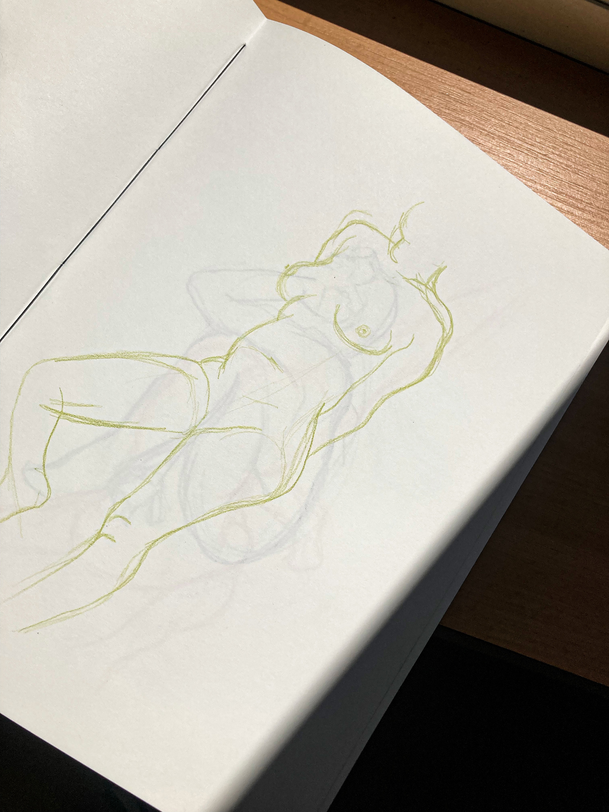 Anatomy studies