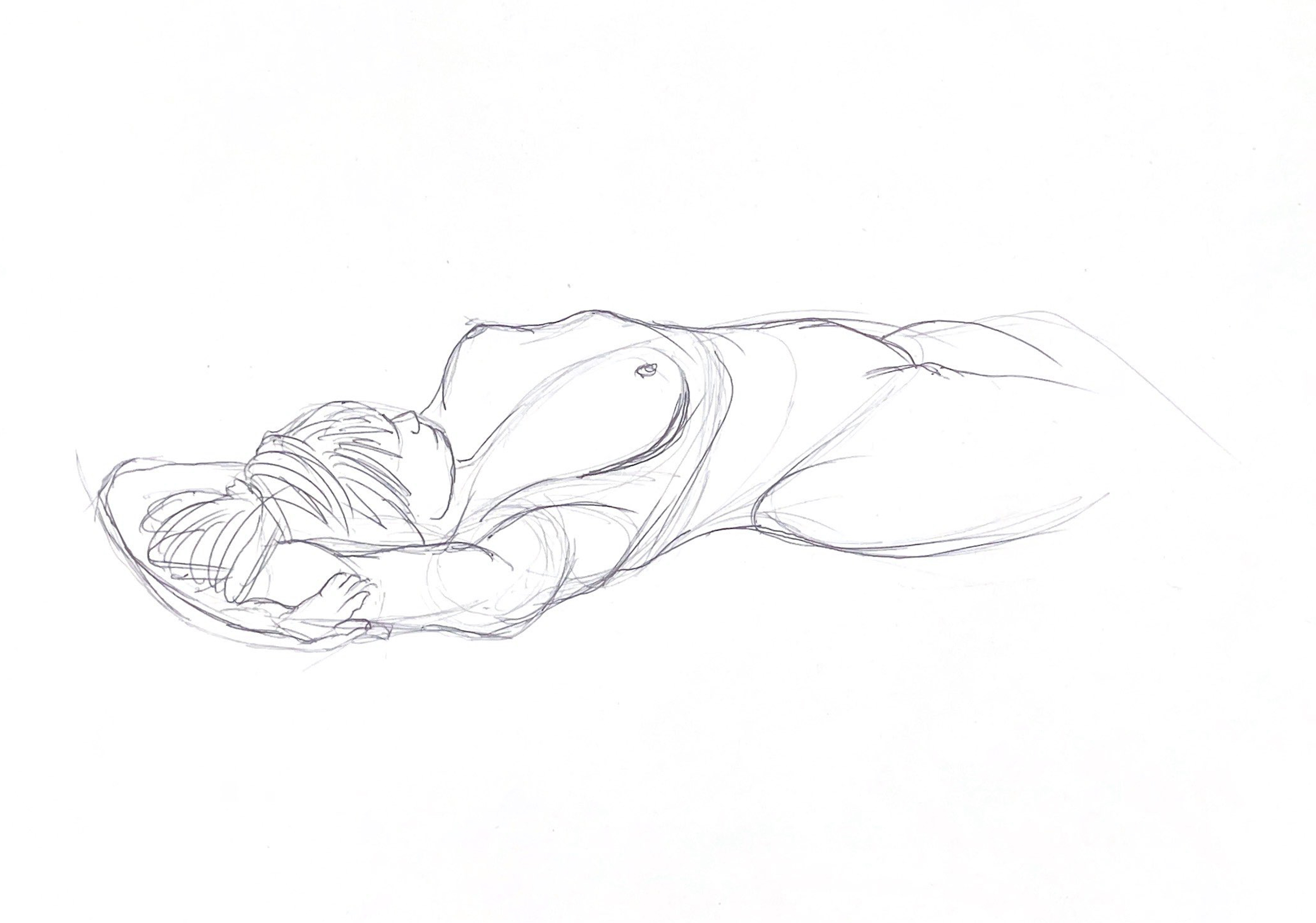 Anatomy studies