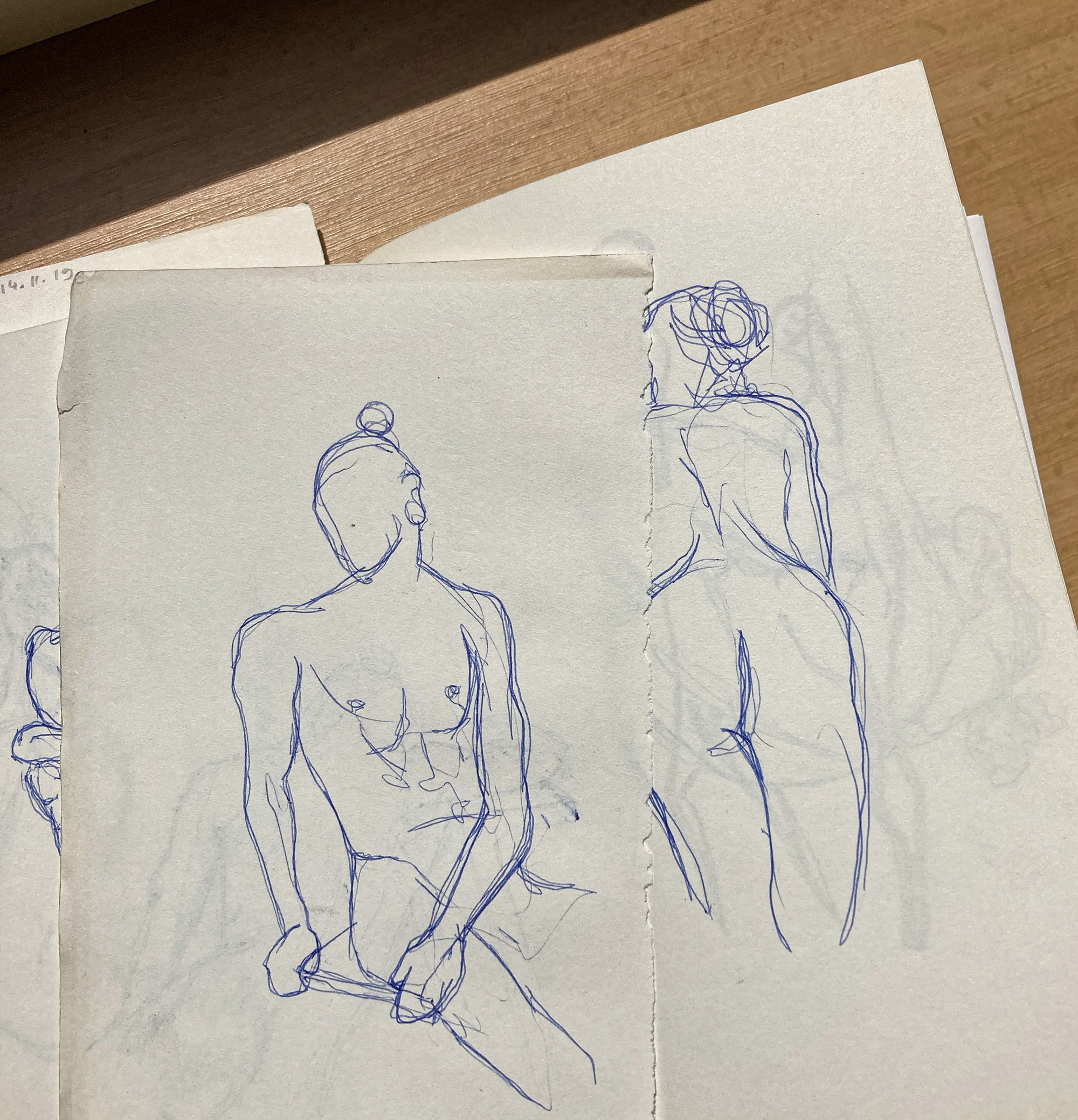 Anatomy studies