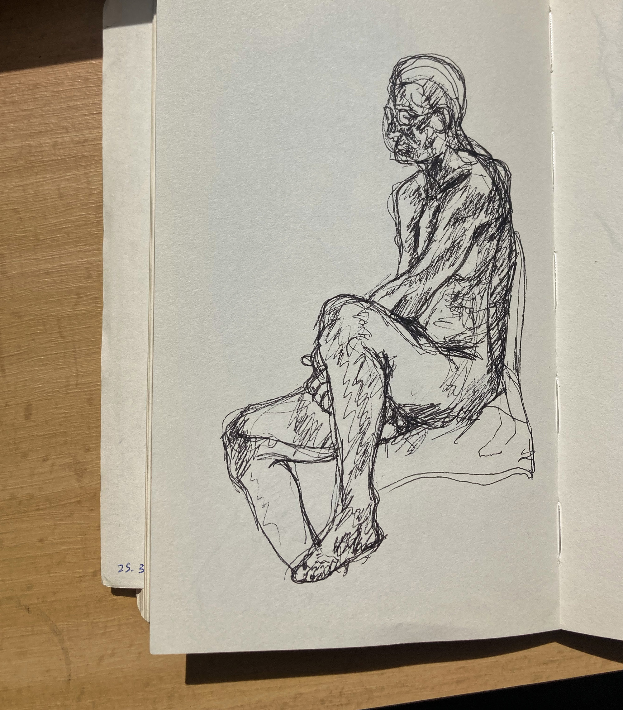 Anatomy studies