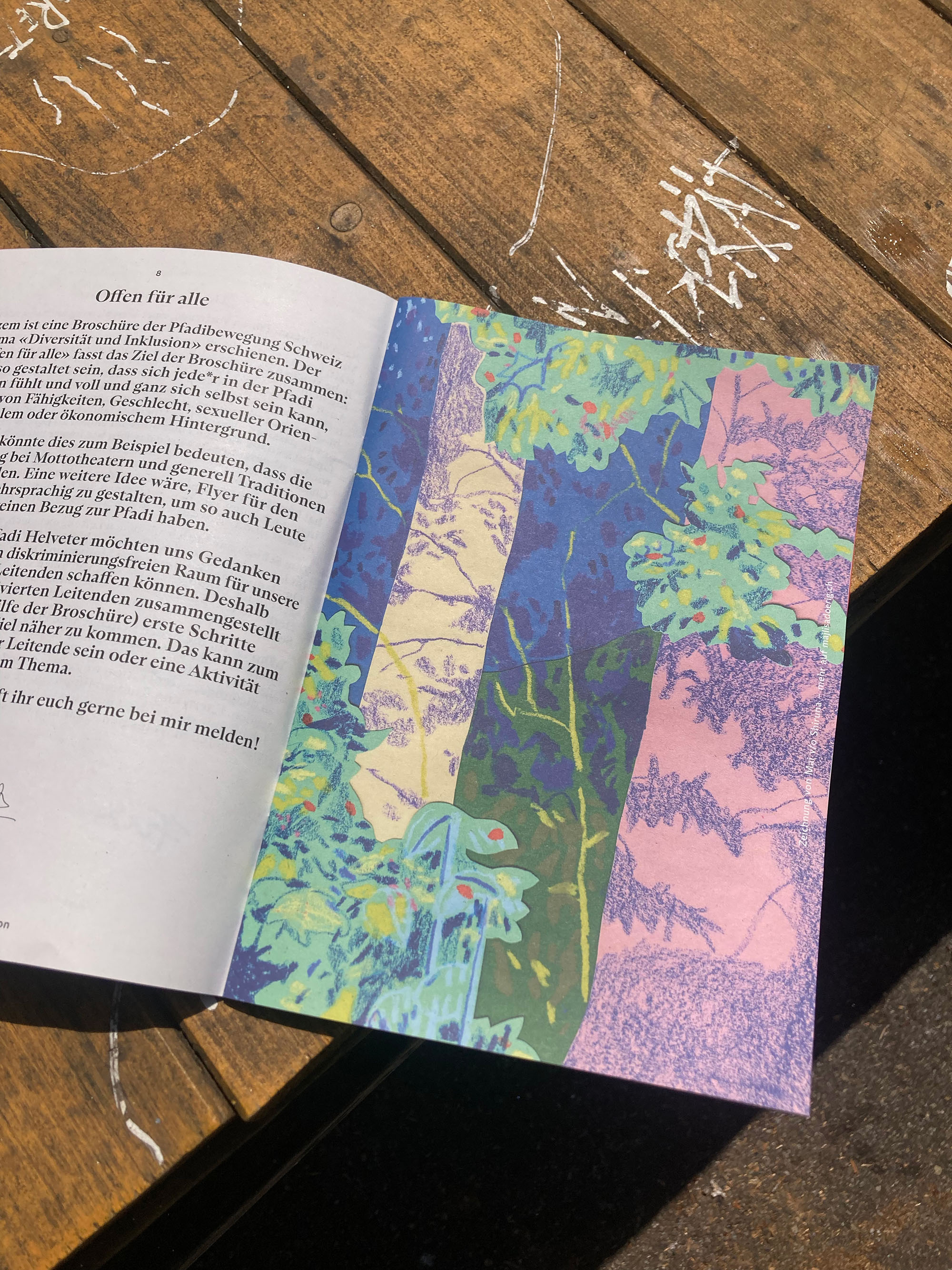 Magazine of the Scouts Helveter