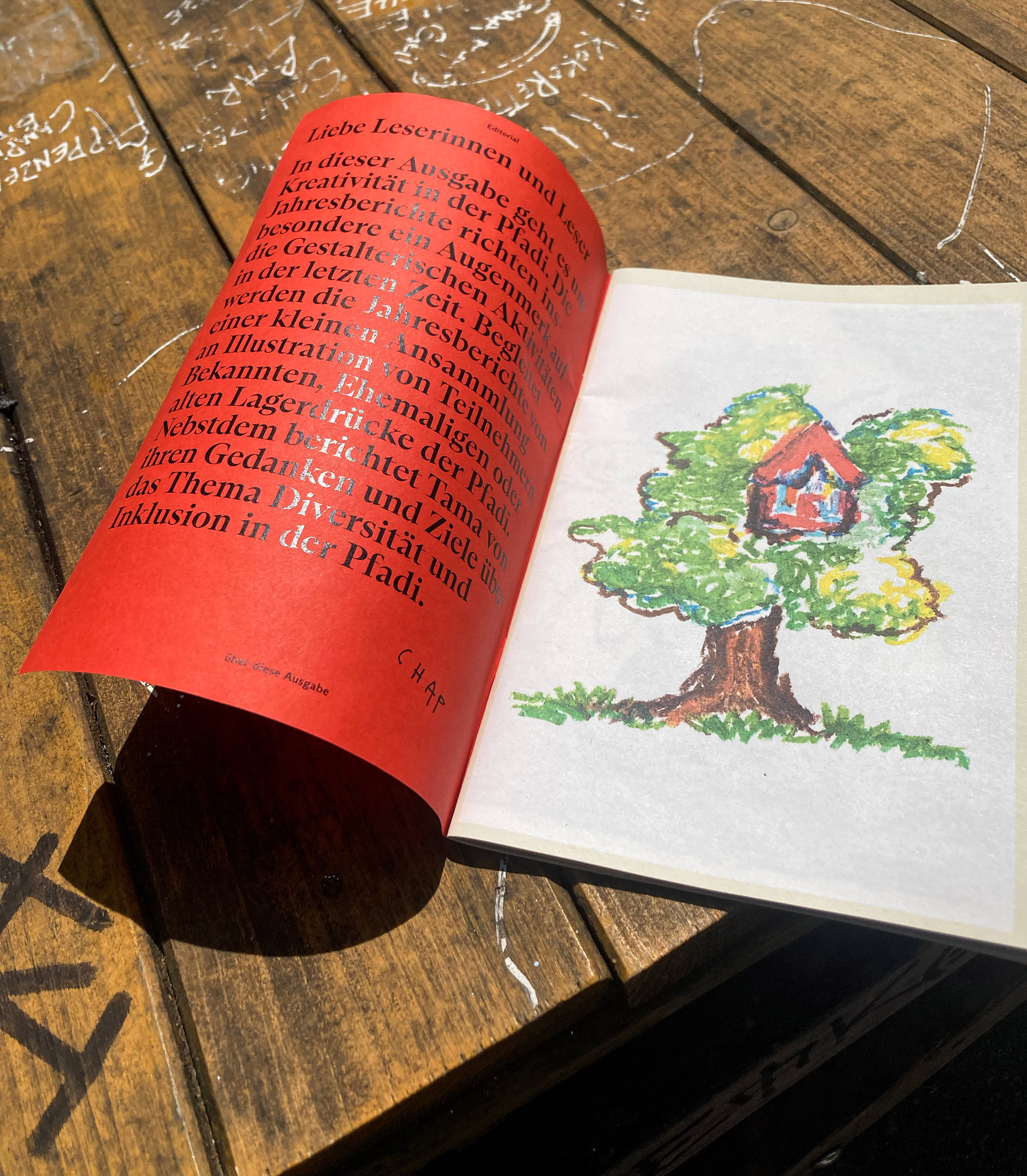 Magazine of the Scouts Helveter